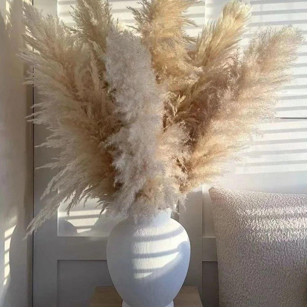 Lisslune | 80 cm natural, real dried pampas grass bouquet (white / beige / gray) │ fluffy feather for modern boho home decor