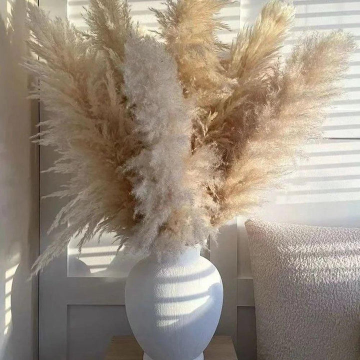 Lisslune | 80 cm natural, real dried pampas grass bouquet (white / beige / gray) │ fluffy feather for modern boho home decor