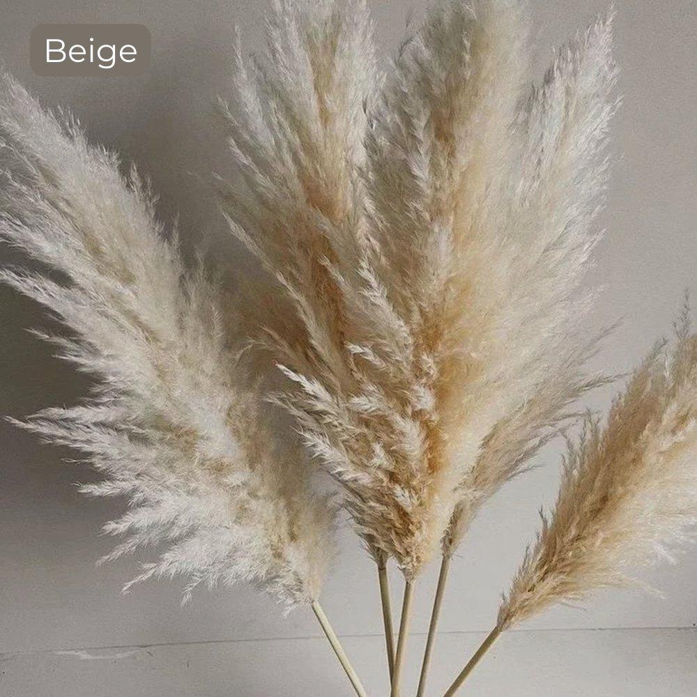 Lisslune | 80 cm natural, real dried pampas grass bouquet (white / beige / gray) │ fluffy feather for modern boho home decor