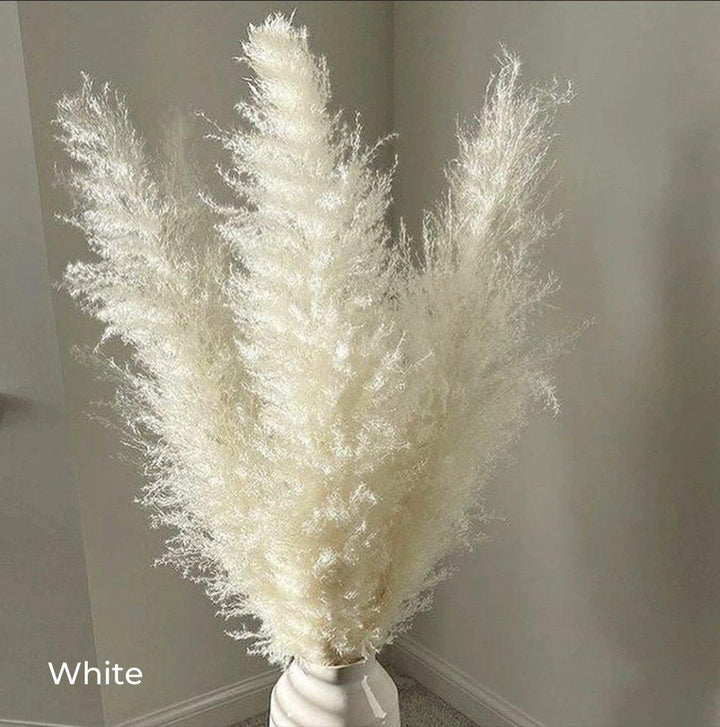 Lisslune | 80 cm natural, real dried pampas grass bouquet (white / beige / gray) │ fluffy feather for modern boho home decor
