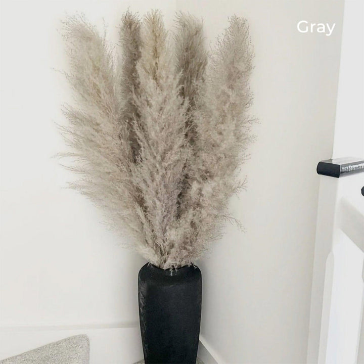 Lisslune | 80 cm natural, real dried pampas grass bouquet (white / beige / gray) │ fluffy feather for modern boho home decor