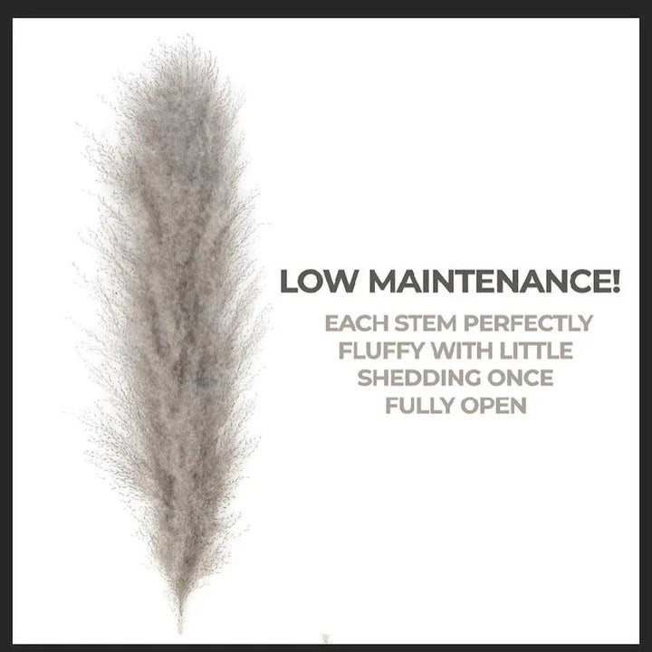 Lisslune | 80 cm natural, real dried pampas grass bouquet (white / beige / gray) │ fluffy feather for modern boho home decor