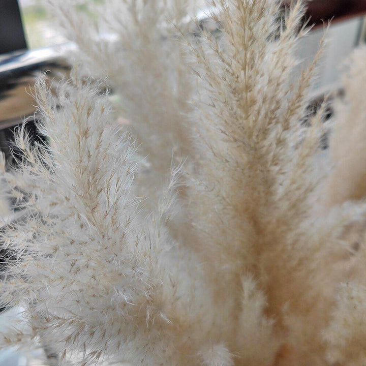 Lisslune | 80 cm natural, real dried pampas grass bouquet (white / beige / gray) │ fluffy feather for modern boho home decor