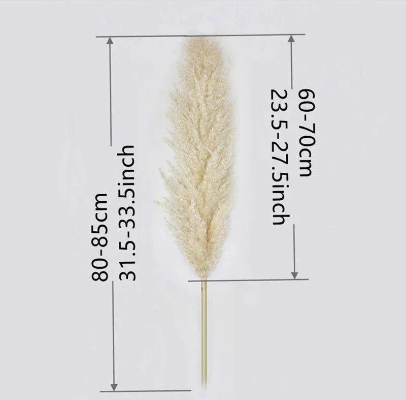 Lisslune | 80 cm natural, real dried pampas grass bouquet (white / beige / gray) │ fluffy feather for modern boho home decor