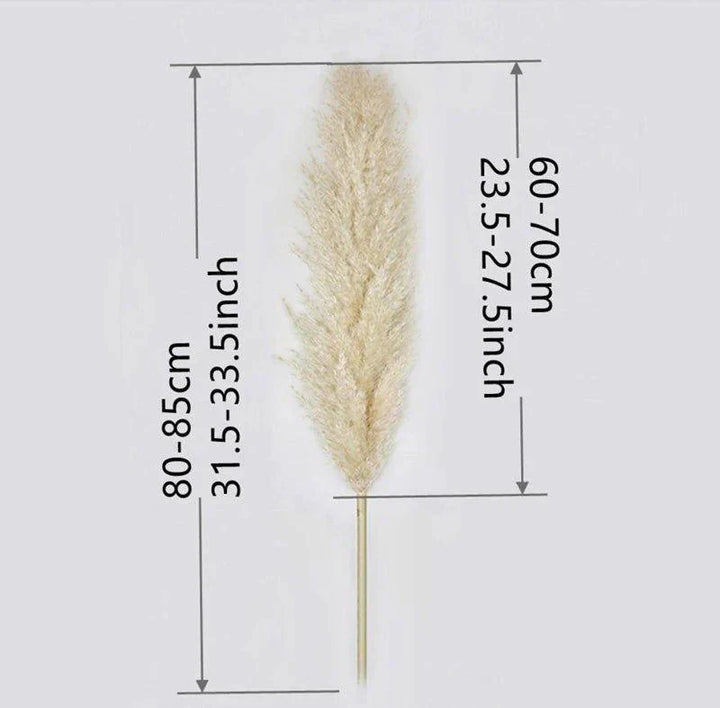 Lisslune | 80 cm natural, real dried pampas grass bouquet (white / beige / gray) │ fluffy feather for modern boho home decor