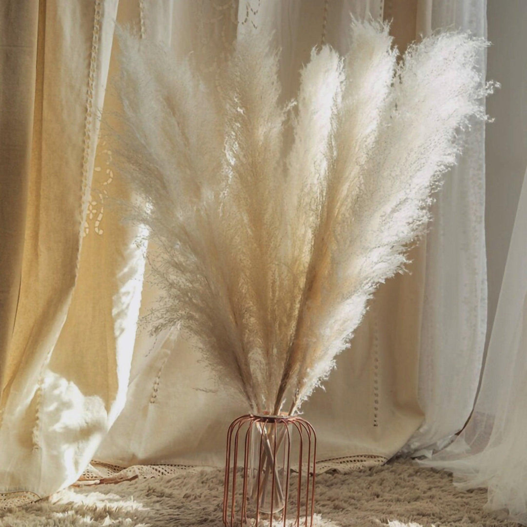 Lisslune | 80 cm natural, real dried pampas grass bouquet (white / beige / gray) │ fluffy feather for modern boho home decor