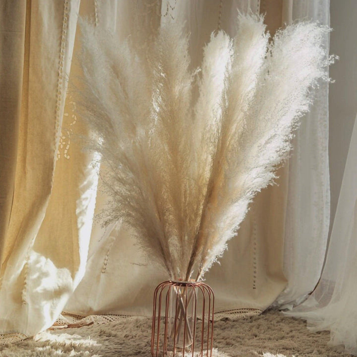 Lisslune | 80 cm natural, real dried pampas grass bouquet (white / beige / gray) │ fluffy feather for modern boho home decor