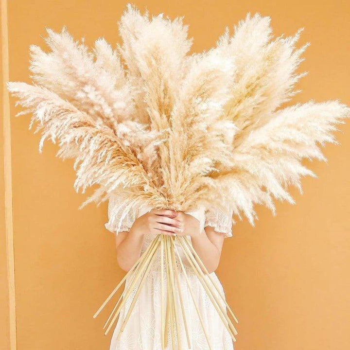 Lisslune | 80 cm natural, real dried pampas grass bouquet (white / beige / gray) │ fluffy feather for modern boho home decor