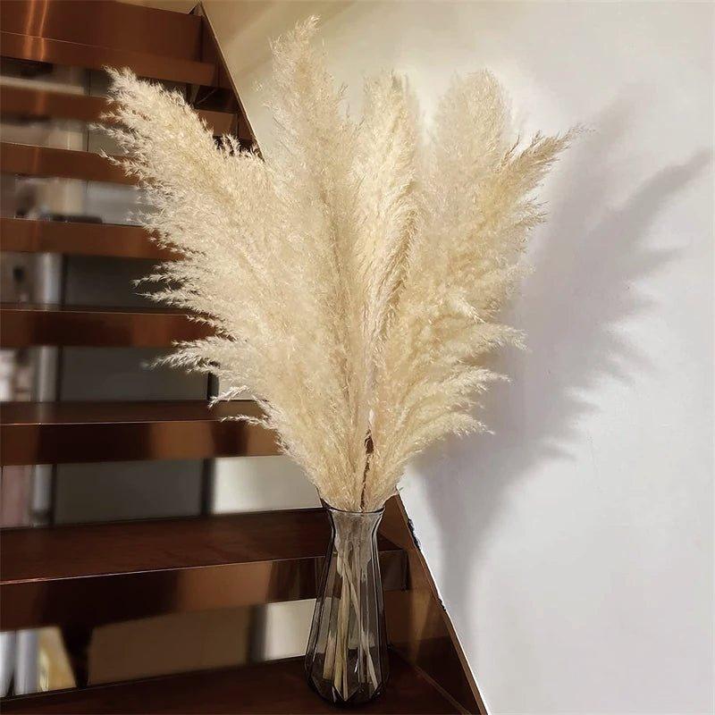 Lisslune | 80 cm natural, real dried pampas grass bouquet (white / beige / gray) │ fluffy feather for modern boho home decor
