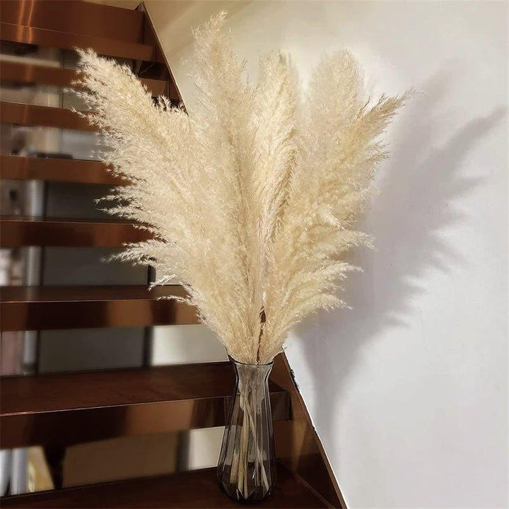 Lisslune | 80 cm natural, real dried pampas grass bouquet (white / beige / gray) │ fluffy feather for modern boho home decor