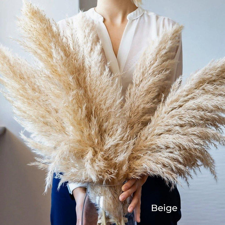 Lisslune | 80 cm natural, real dried pampas grass bouquet (white / beige / gray) │ fluffy feather for modern boho home decor