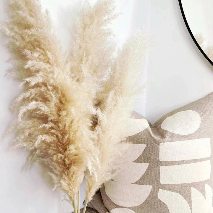 Lisslune | 80 cm natural, real dried pampas grass bouquet (white / beige / gray) │ fluffy feather for modern boho home decor