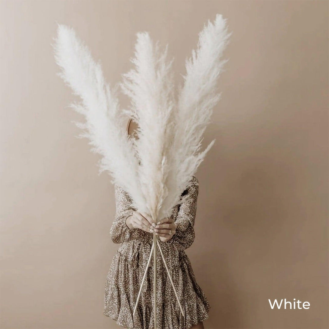 Lisslune | 80 cm natural, real dried pampas grass bouquet (white / beige / gray) │ fluffy feather for modern boho home decor