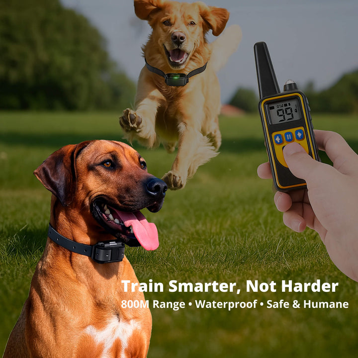 Lisslune | 800M Rechargeable Electric Dog Training Collar | Waterproof, Remote Control & Ideal for Effective Dog Training