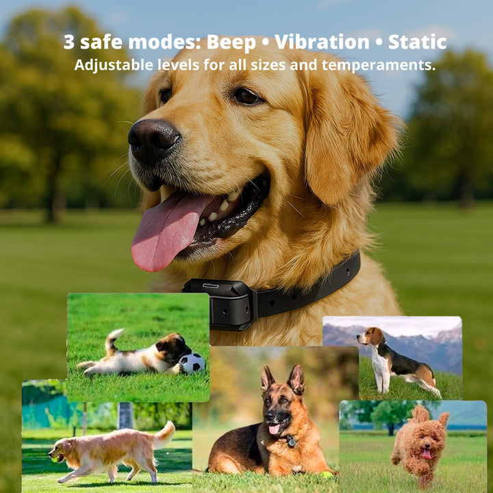 Lisslune | 800M Rechargeable Electric Dog Training Collar | Waterproof, Remote Control & Ideal for Effective Dog Training