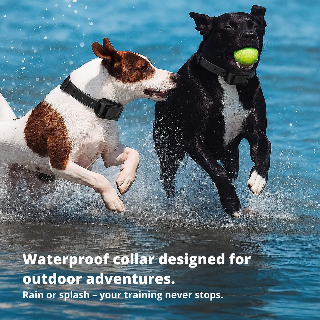 Lisslune | 800M Rechargeable Electric Dog Training Collar | Waterproof, Remote Control & Ideal for Effective Dog Training