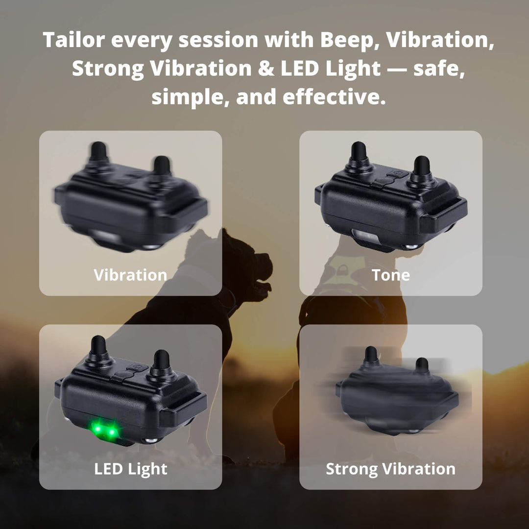 Lisslune | 800M Rechargeable Electric Dog Training Collar | Waterproof, Remote Control & Ideal for Effective Dog Training