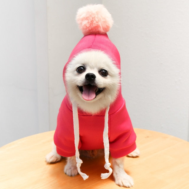 Lisslune | Pet Hoodies
