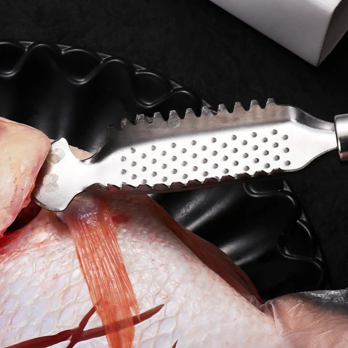 Lisslune | Stainless Steel Fish Scales Remover