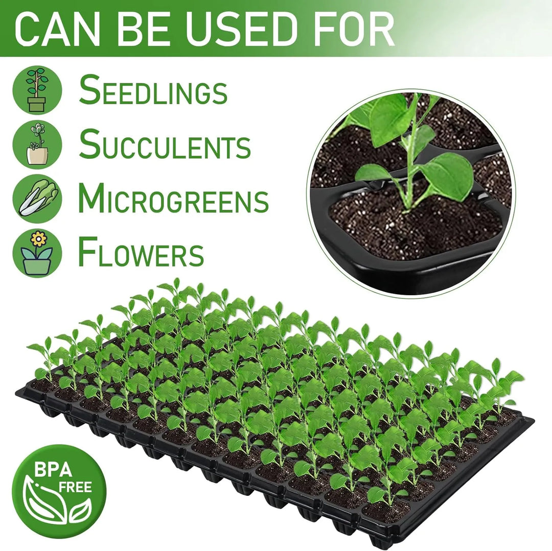 Lisslune | Rectangular Plant Bowl – Seedling Tray for Efficient Germination and Growth of Seedlings
