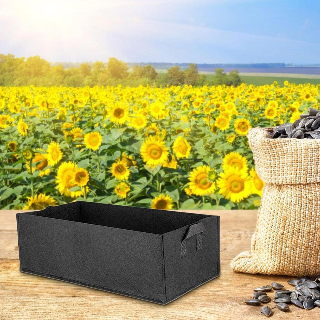 Lisslune | Foldable storage box made of felt for plants with handles