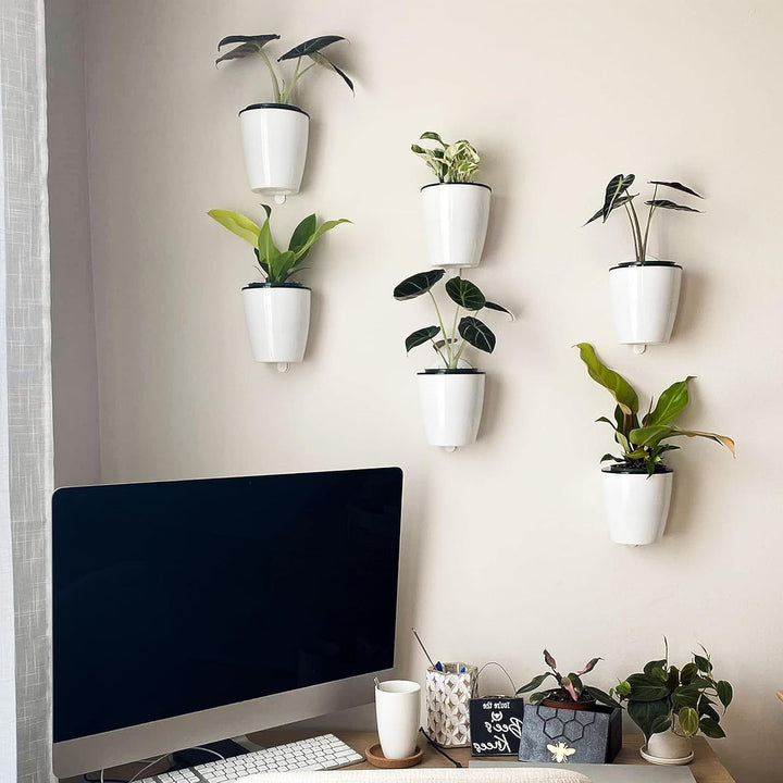 Lisslune | Self-watering hanging plant pot – Modern flower pot for wall mounting