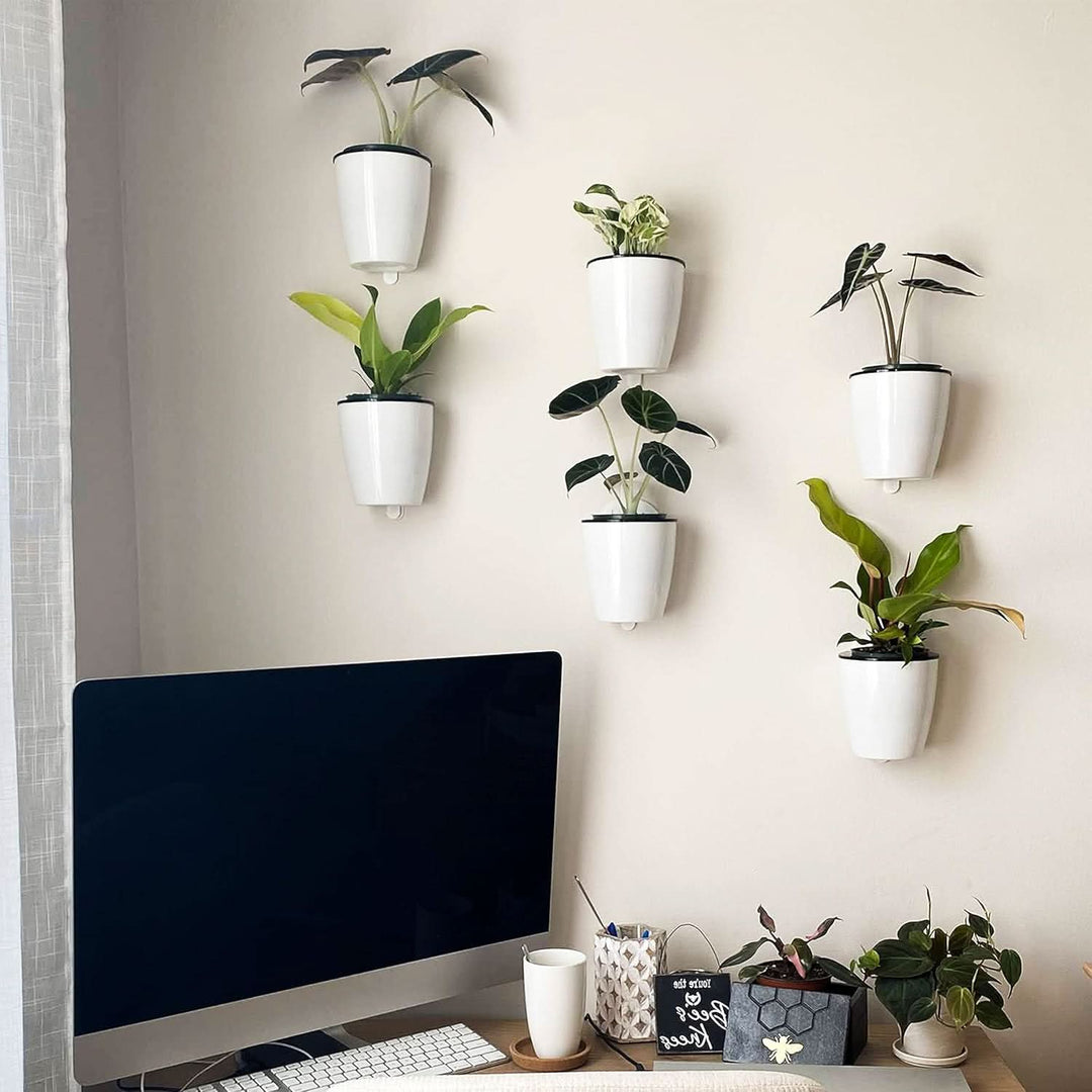Lisslune | Garden Balance – The elegant self-sustaining flower pot for indoor & outdoor