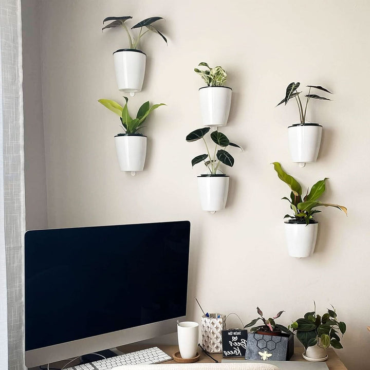 Lisslune | Garden Balance – The elegant self-sustaining flower pot for indoor & outdoor