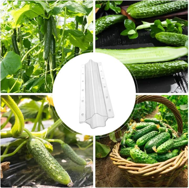 Lisslune | Star shape vegetable mold for cucumbers – Creative mold rail for fruits and vegetables