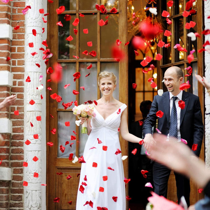 Lisslune | Romantic Elegance Silk Rose Petals Collection: 1000 Luxurious Red Petals for Memorable Celebrations