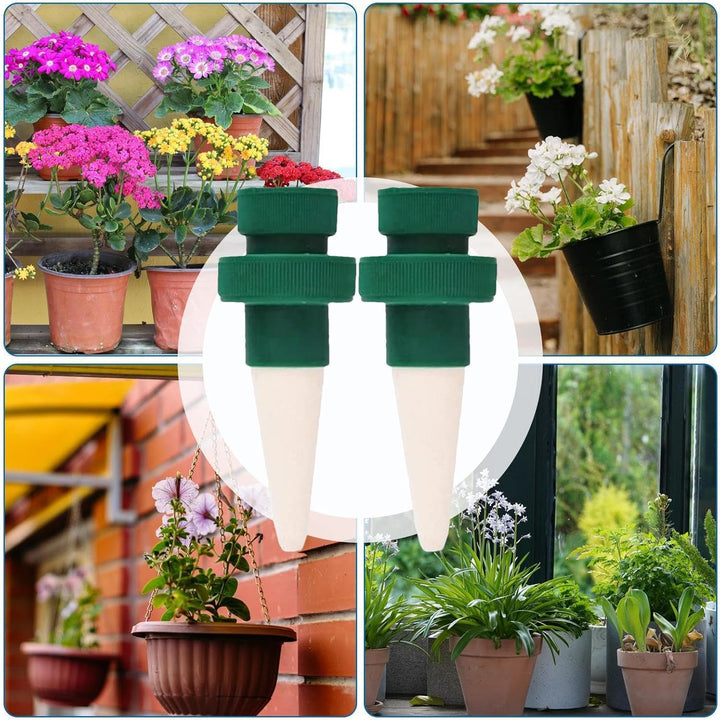 Lisslune | Self-watering spikes for plants – Automatic drip tips for bottles