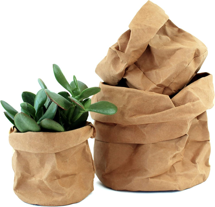 Lisslune | Stylish plant pots made of paper for modern decoration