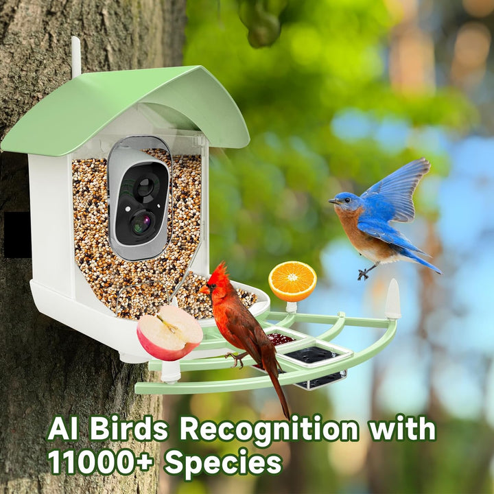 Lisslune | Smart Bird Feeder Camera with AI Recognition & Night Vision