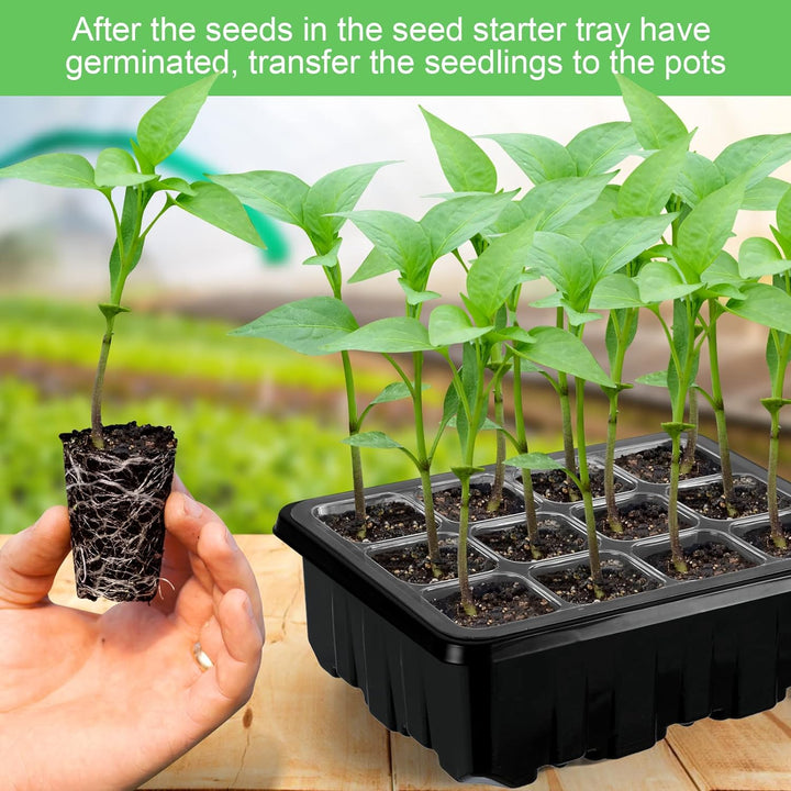 Lisslune | Grow kit with light – Complete set for successful plant cultivation