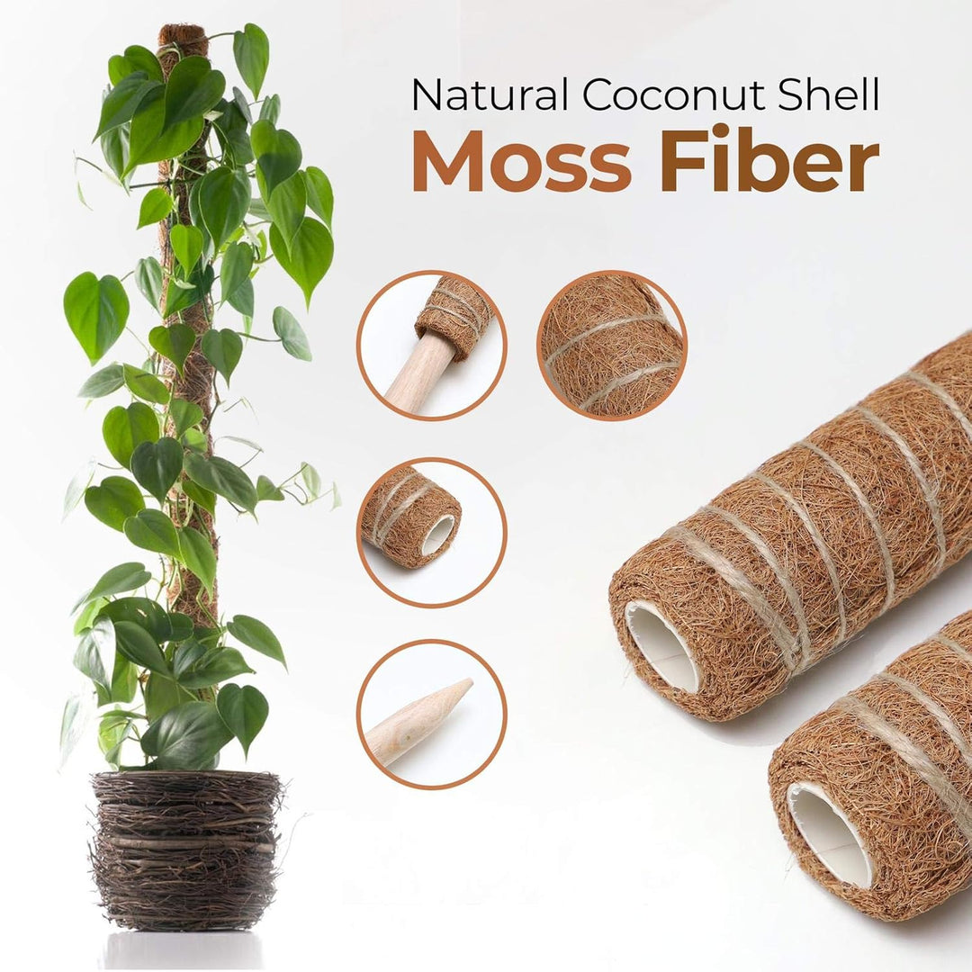 Lisslune | Coconut moss stick for climbing plants – Natural climbing aid for houseplants and garden