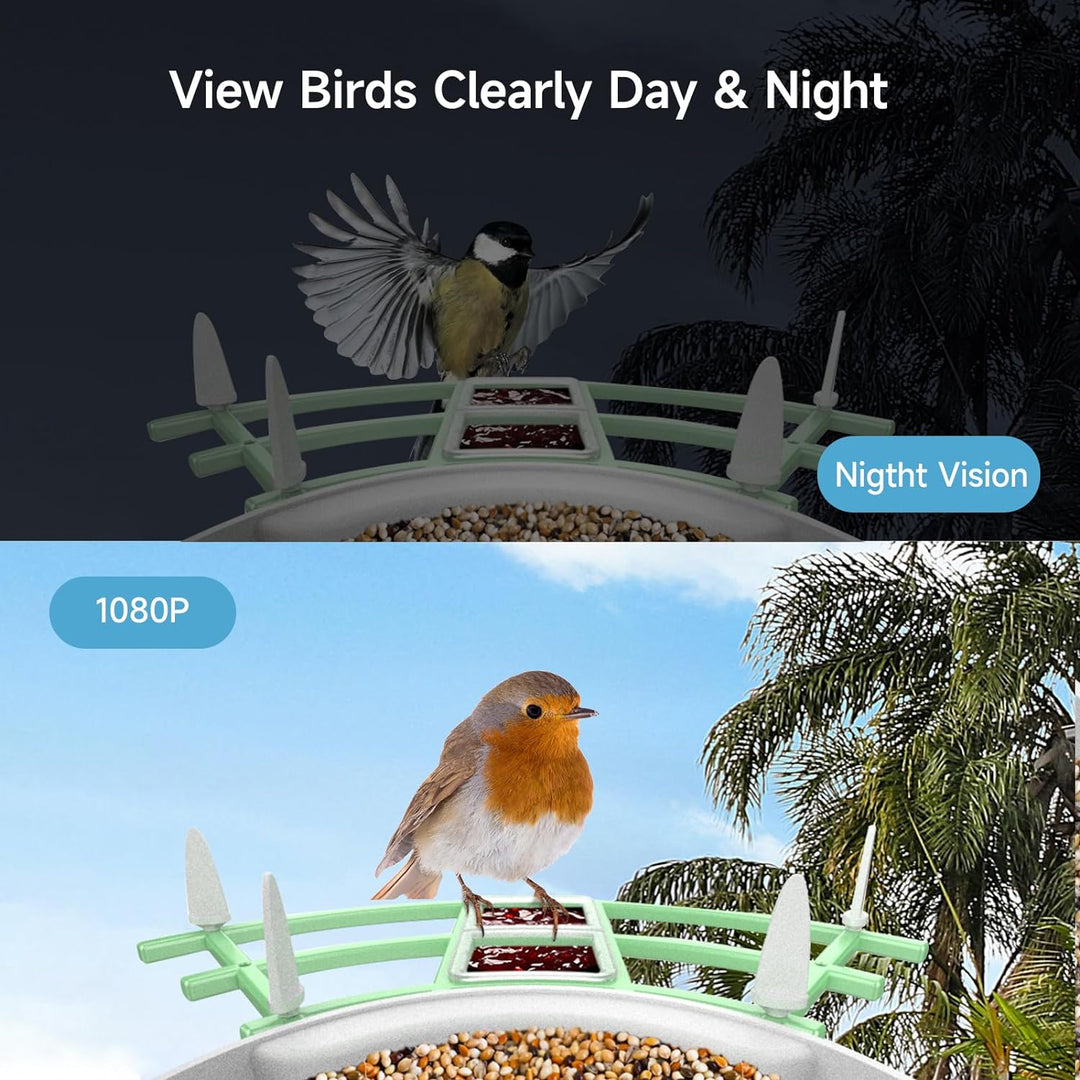 Lisslune | Smart Bird Feeder Camera with AI Recognition & Night Vision