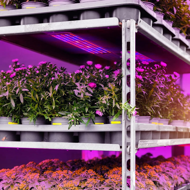 Lisslune | LED Quantum Plant Light Panel for Growth and Color Promotion – With Adjustable Light Mode