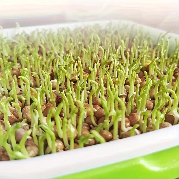 Lisslune | Germination trays with lid – Double-layer seed sowing tray for effective seed germination
