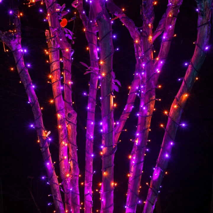 Lisslune | Halloween LED String Lights – Purple and Orange Fairy Lights for Outdoor Terrace, Garden, Street, Home, Christmas, and Party Decor