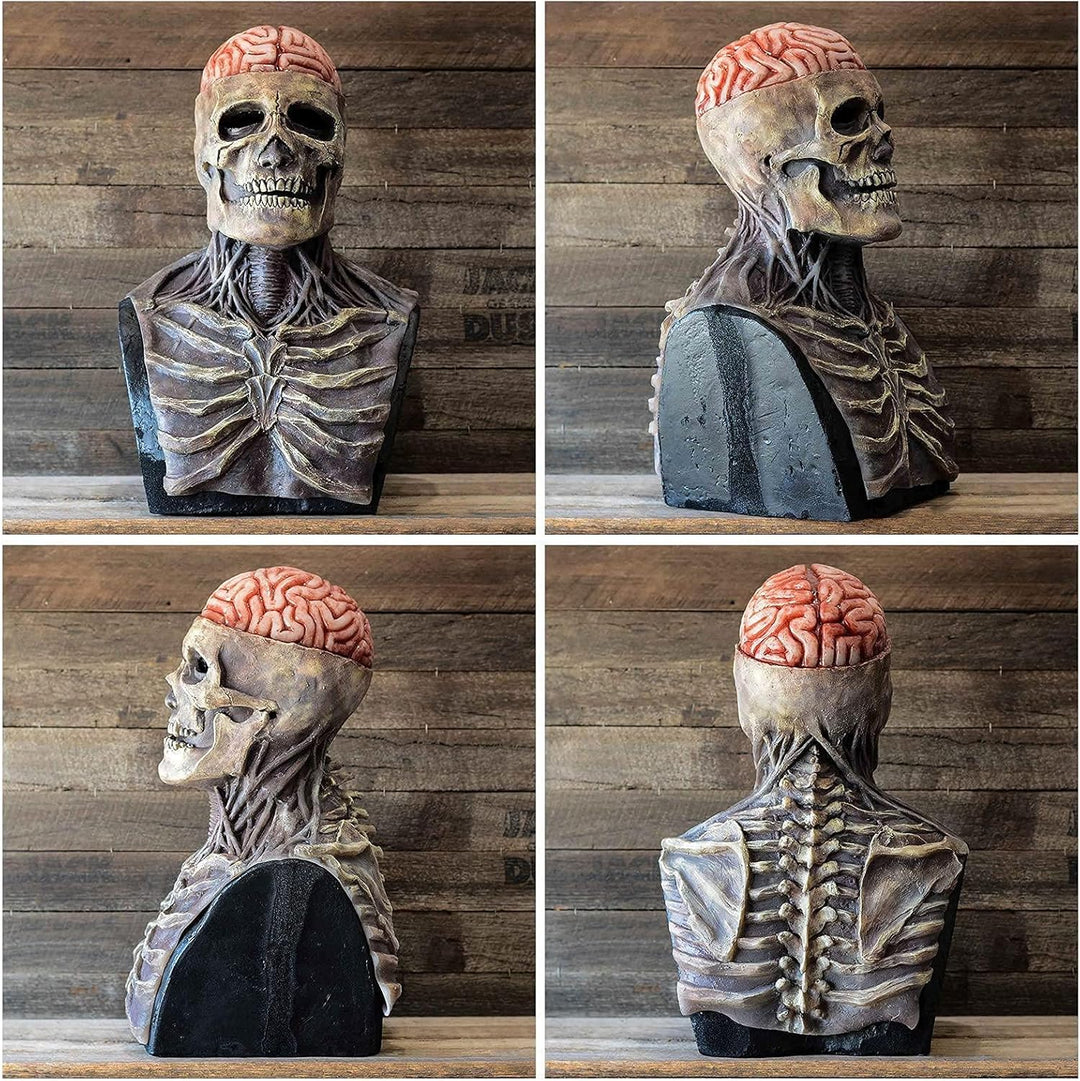Lisslune | Halloween Skull Mask with Brain Detail