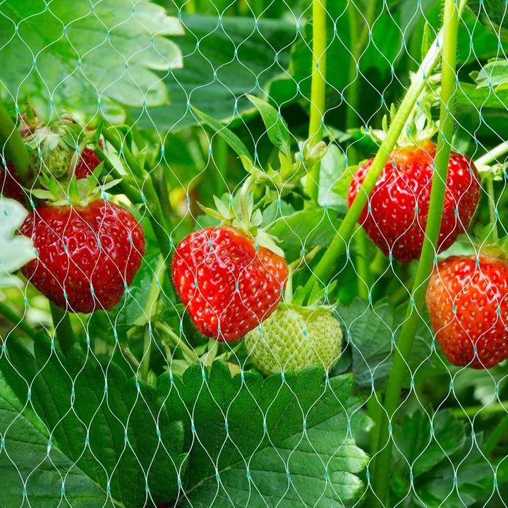 Lisslune | Protective net for garden plants – Green net against pests and animals