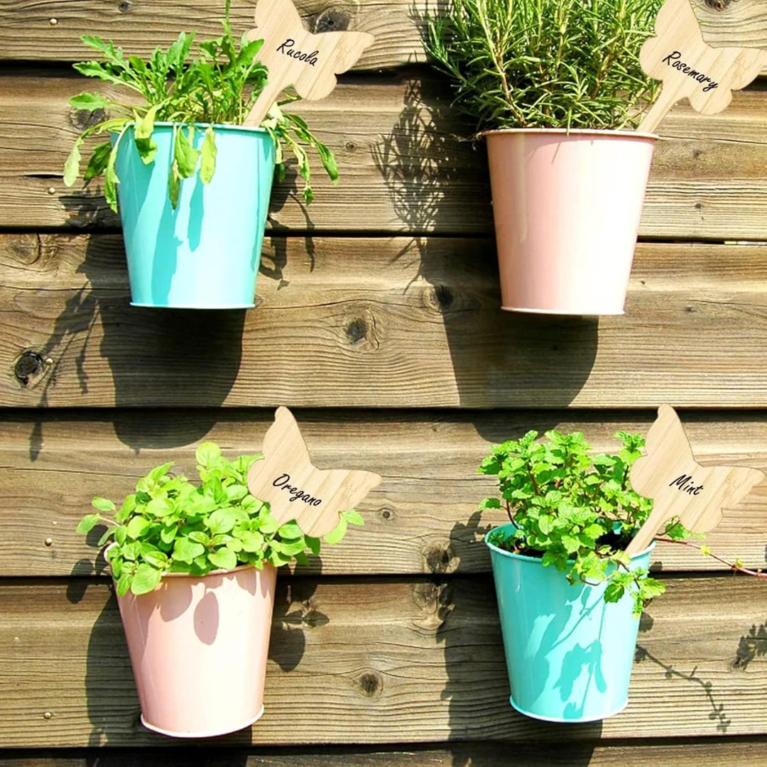 Lisslune | Plant labels made of wood for garden and balcony – Rewritable labels for herbs and plants