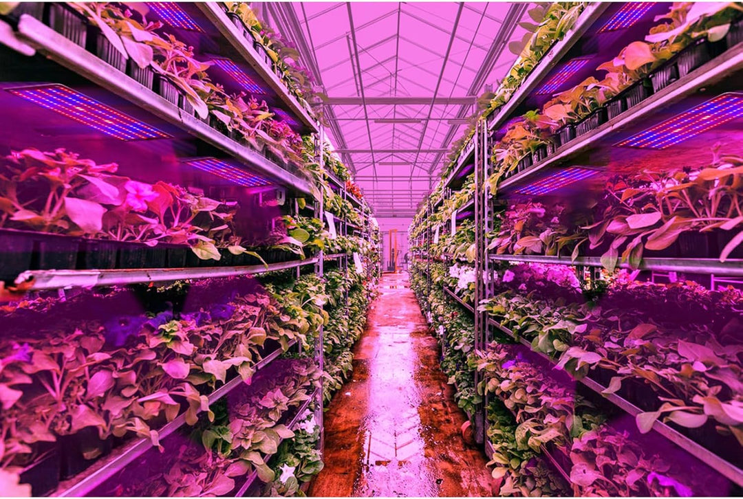 Lisslune | LED Quantum Plant Light Panel for Growth and Color Promotion – With Adjustable Light Mode