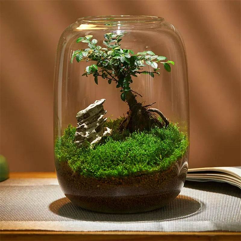 Lisslune | Micro Landscape Green Oasis Glass Vase