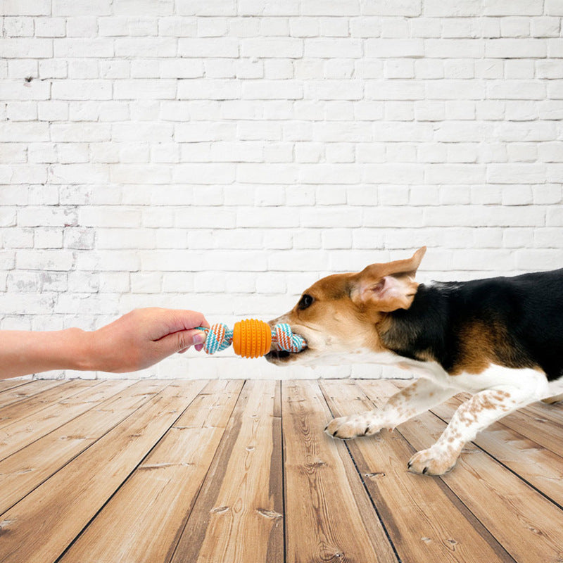 Lisslune | Sailing toy for pets
