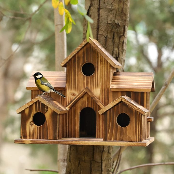 Lisslune | WillowNest functional wooden birdhouse