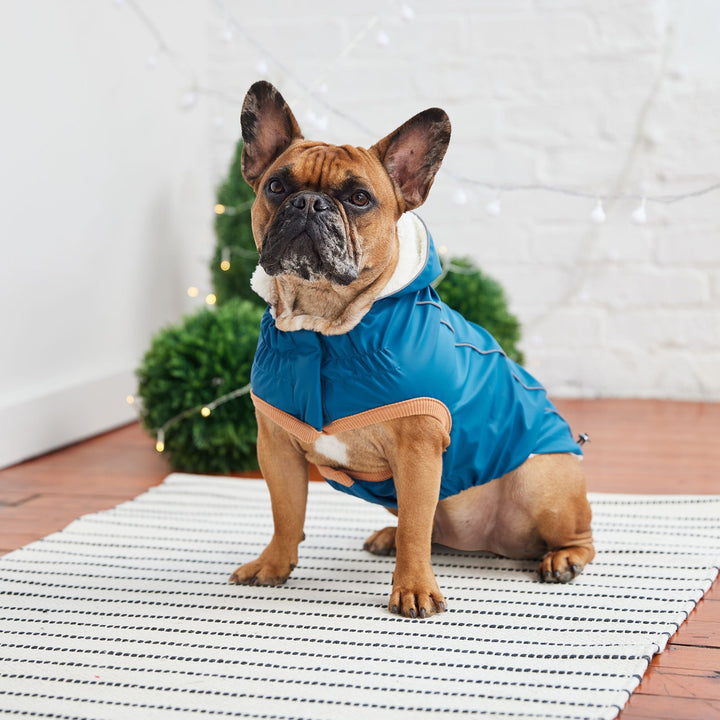 Lisslune | Insulated rain jacket - Dark blue