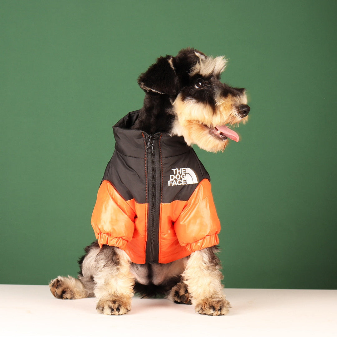 Lisslune | Windproof Reflective Dog Jacket