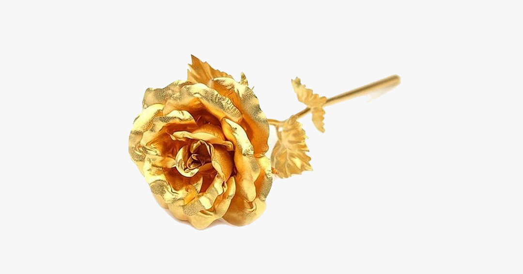 Lisslune | 24K gold-plated real rose with gift box