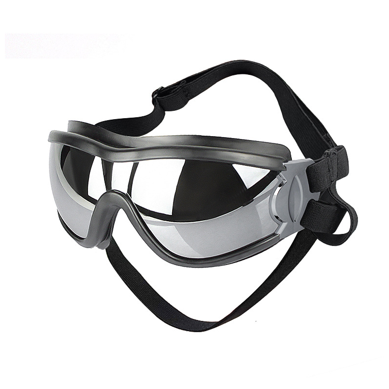 Lisslune | Outdoor Protection Glasses for Dogs